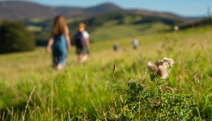 A mother and child walking in a field with hills in the distance