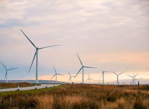 Wind turbines near the Scottish borders on a sunny day