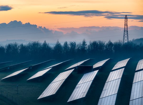 A photo of a field of solar panels with a line of trees and a sunset sky behind it