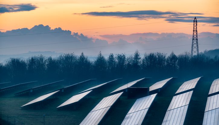 A photo of a field of solar panels with a line of trees and a sunset sky behind it